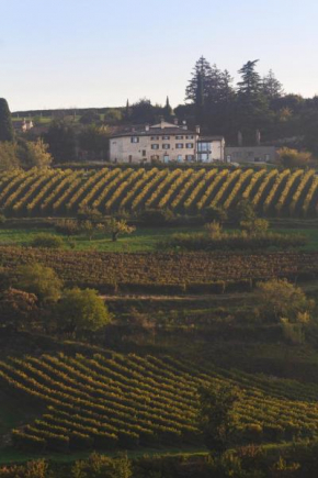 Ca' del Moro Wine Retreat